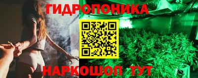 соль ск Можга